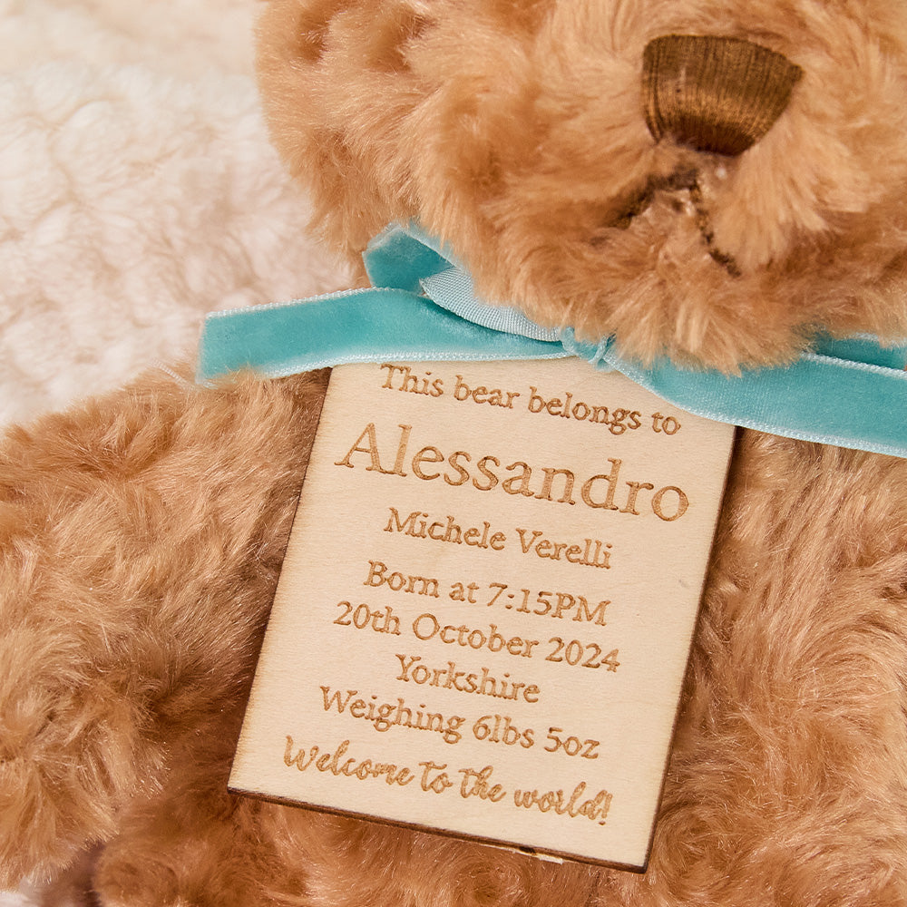 Personalized Bear Plush Birth Stats Stuffed Animal Birth Announcement Gifts