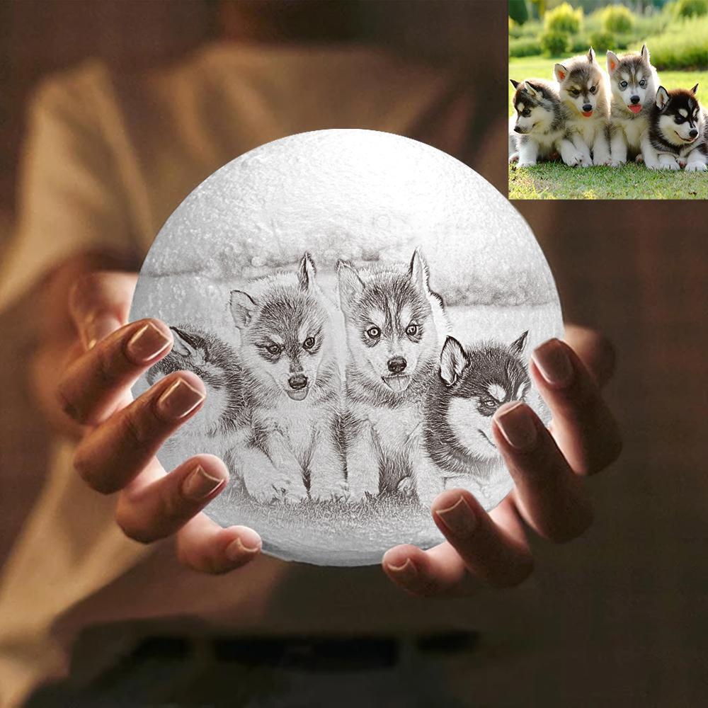 Personalized Creative 3D Print photo Moon Lamp, Lovely Pet Engraved Lamp - Touch Two Colors