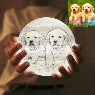 Custom Cute Pet 3D Printed Jupiter Lamp Personalized Gift - Touch Two Colors (10-15cm) - mysiliconefoodbag