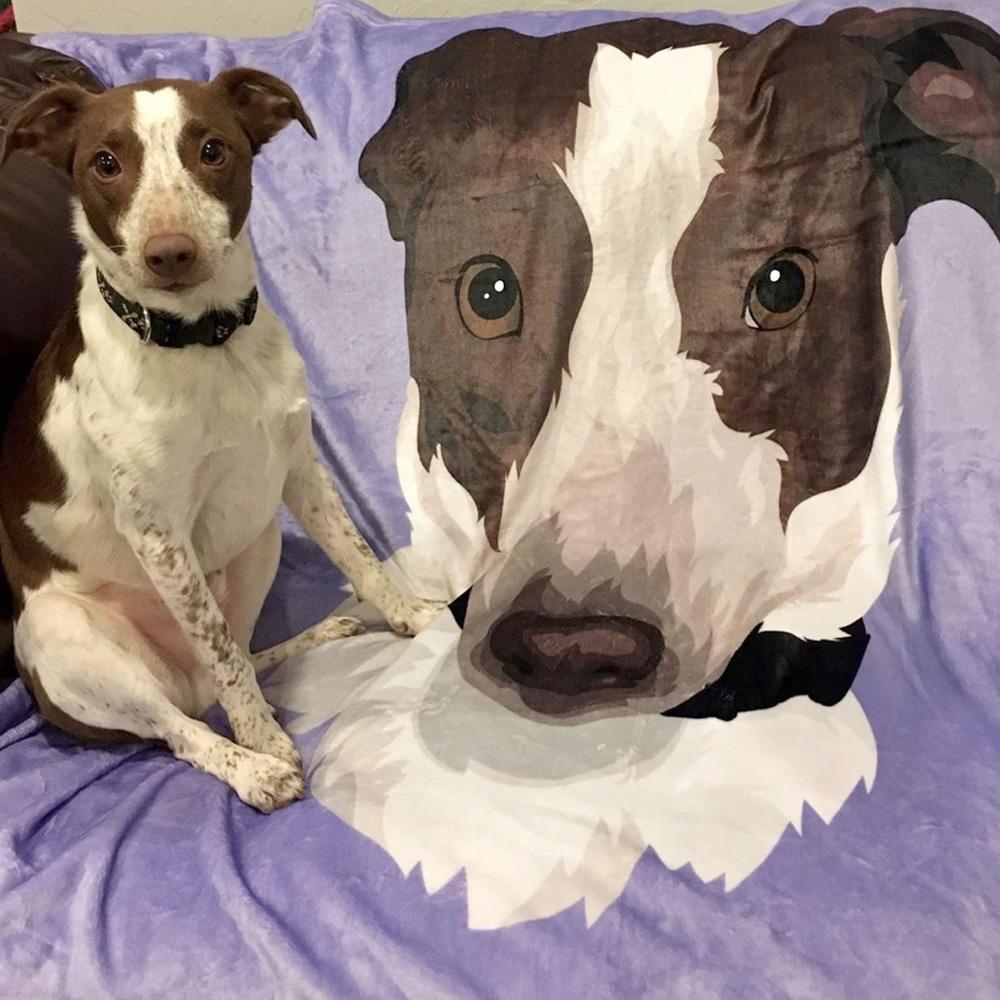 Custom Dog Blankets Personalized Pet Photo Blankets Painted Art Portrait Fleece Blanket Best Gift 2021 Laying on the Sofa